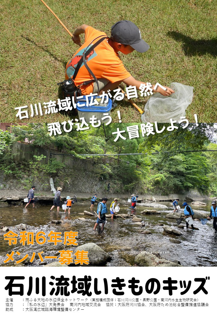 石川流域生きものキッズメンバー募集中チラシ画像