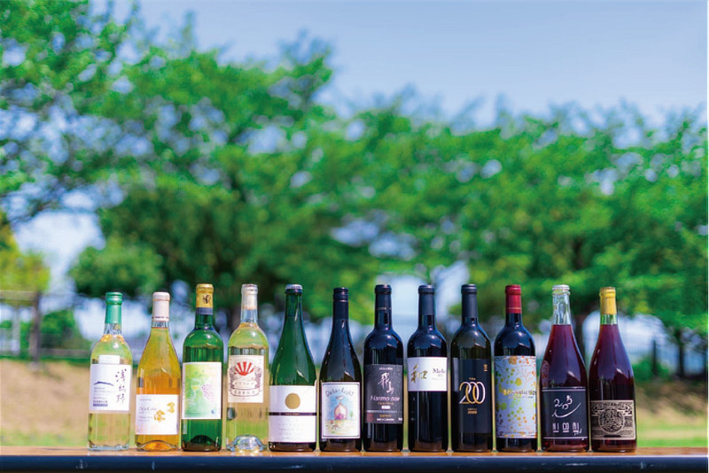 おおさかワインフェス2026in羽曳野