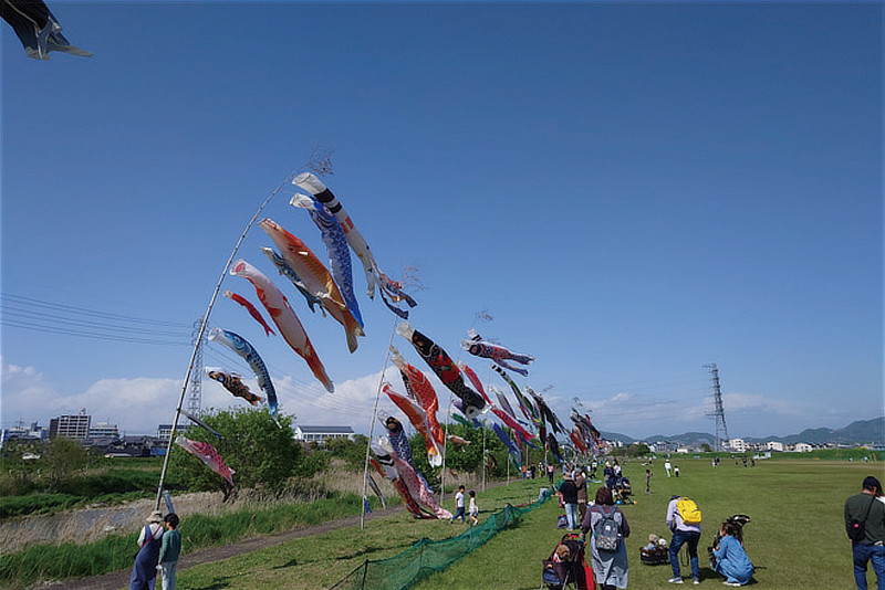 石川こいのぼり