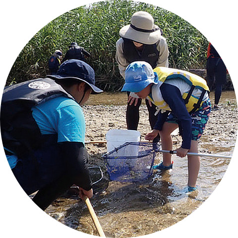 飛鳥川での魚とり観察会