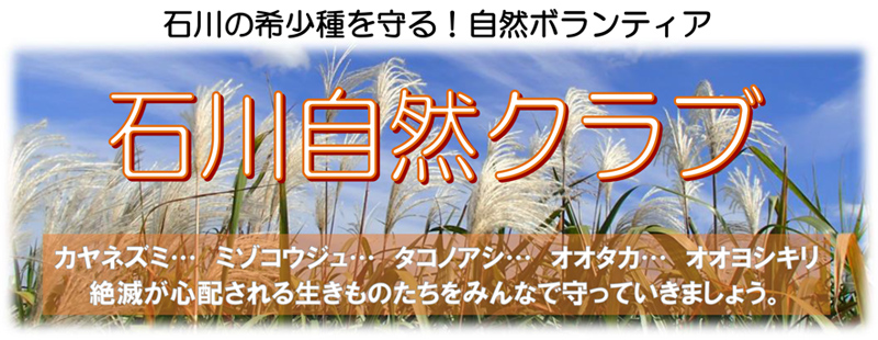 2025年度　石川自然クラブへのリンクバナー