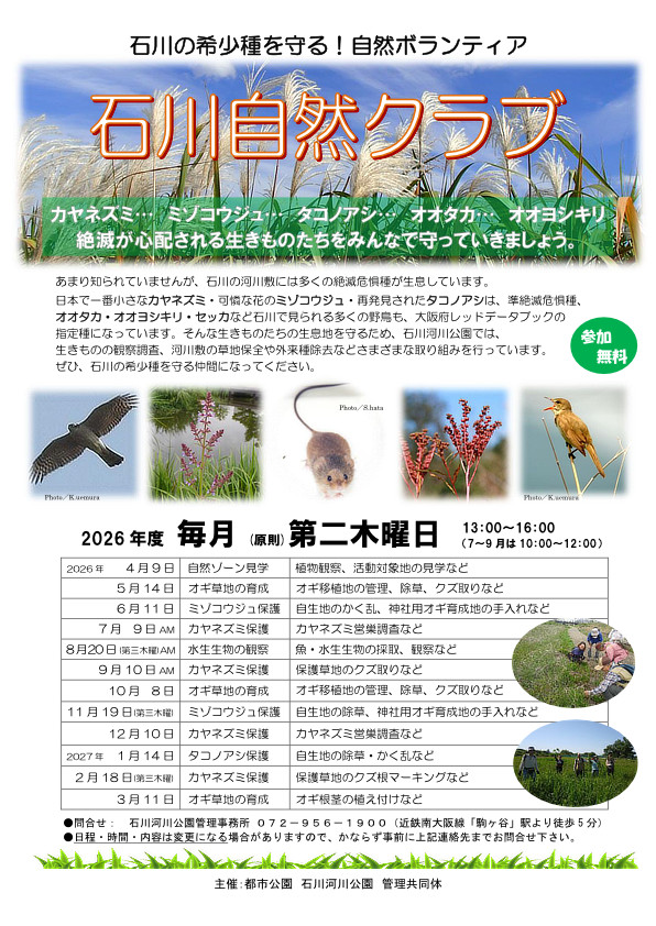 石川の希少種を守る！自然ボランティア「石川自然クラブ」2025年度