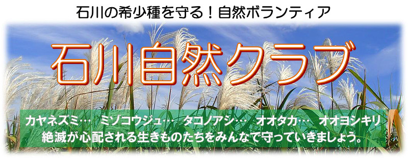 2026年度　石川自然クラブへのリンクバナー