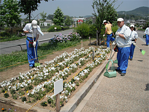 大阪INA職業支援センターへの花壇植え付け業務の依頼 大阪INA職業支援センターへの花壇植え付け業務の依頼