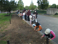 久宝寺緑地「菜の花プロジェクト」の種まきイベント 久宝寺緑地「菜の花プロジェクト」の種まきイベント
