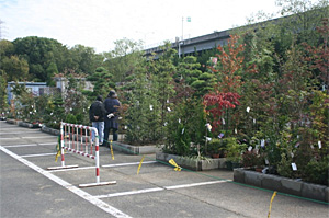 久宝寺緑地秋の植木市開催 大阪府営5公園ポータル いこいこ おおさかの公園 イベント 大阪府営5公園ポータル いこいこ おおさかの公園