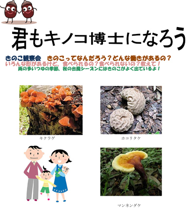 レッツ久宝探検隊 君もキノコ博士になろう 大阪府営5公園ポータル いこいこ おおさかの公園 イベント 大阪府営5公園ポータル いこいこ おおさかの公園