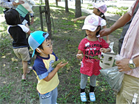 レッツ久宝探検隊の「植物の葉っぱ観察会」