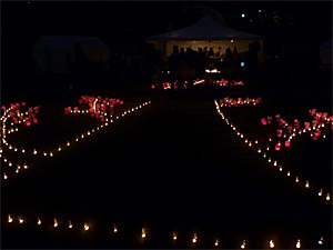 11月6日(日)ハッピーアースマーケット2011 11月6日(日)ハッピーアースマーケット2011