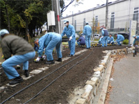 スポンサー花壇の植え込み活動