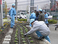 スポンサー花壇の植え込み活動