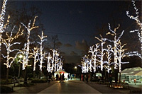 きらきらナイトin久宝寺~ちょっと早めのクリスマス~ きらきらナイトin久宝寺~ちょっと早めのクリスマス~