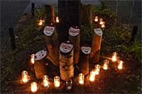 きらきらナイトin久宝寺~ちょっと早めのクリスマス~ きらきらナイトin久宝寺~ちょっと早めのクリスマス~