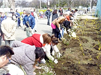 創美工芸さんによる「植樹&清掃ボランティア」