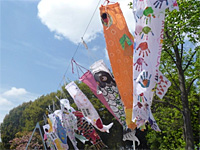 久宝寺緑地公園 花の道に、こいのぼりが舞い上がりました 久宝寺緑地公園 花の道に、こいのぼりが舞い上がりました