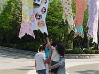 5月5日(日)「こいのぼり祭り」 5月5日(日)「こいのぼり祭り」