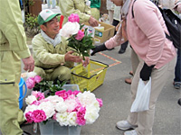 母の日記念イベント～シャクヤクの切り花配布～