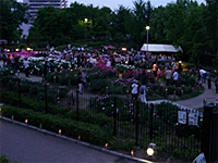 「キャンドルナイトライトアップ夜間特別開園&お琴の演奏会」レポート 「キャンドルナイトライトアップ夜間特別開園&お琴の演奏会」レポート