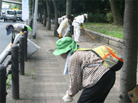 「中環をきれいにする日」 「中環をきれいにする日」