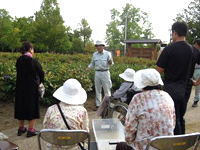 シャクヤク株分け講習会レポート シャクヤク株分け講習会レポート