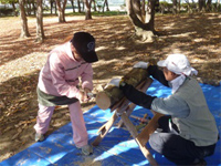 レッツ久宝探検隊「ノコギリの使い方実習及びクラフト」 レッツ久宝探検隊「ノコギリの使い方実習及びクラフト」