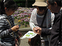 レッツ久宝探検隊「春の野草観察会 名も知らない草木とお友達になろう」4月28日 レッツ久宝探検隊「春の野草観察会 名も知らない草木とお友達になろう」4月28日