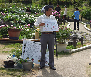 シャクヤク園イベント（5/18） レポート