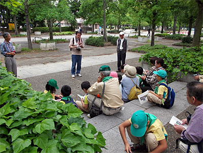 レッツ久宝探検隊「君もキノコ博士になろう」～キノコの観察会～