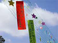 七夕イベントレポート2013 七夕イベントレポート2013