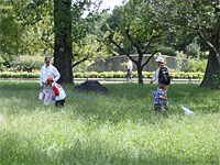 レッツ久宝探検隊「昆虫観察会」9月22日