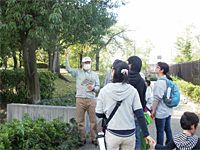 レッツ久宝探検隊「ドングリを食べてみよう」10月27日 レッツ久宝探検隊「ドングリを食べてみよう」10月27日
