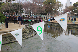 久宝寺緑地の池の浄化イベント「どび流し」