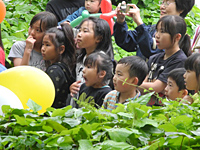 子どもの日イベント「みどりを感じてマジックタイム!」レポート 子どもの日イベント「みどりを感じてマジックタイム!」レポート