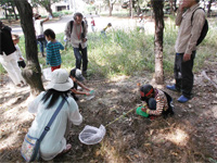 4月26日　レッツ久宝寺探検隊「春の野草観察会～名も知らない草木と友達になろう～」