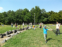 4月26日　レッツ久宝寺探検隊「春の野草観察会～名も知らない草木と友達になろう～」