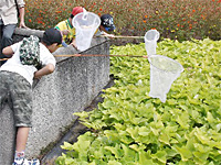 レッツ久宝探検隊「秋の昆虫観察会」9月28日