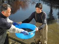 どび流し in 久宝寺緑地 北地区心字池 レポート どび流し in 久宝寺緑地 北地区心字池 レポート