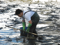 どび流し in 久宝寺緑地 北地区心字池 レポート どび流し in 久宝寺緑地 北地区心字池 レポート