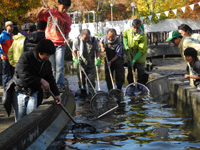 どび流し in 久宝寺緑地 北地区心字池 レポート どび流し in 久宝寺緑地 北地区心字池 レポート