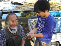 どび流し in 久宝寺緑地 北地区心字池 レポート