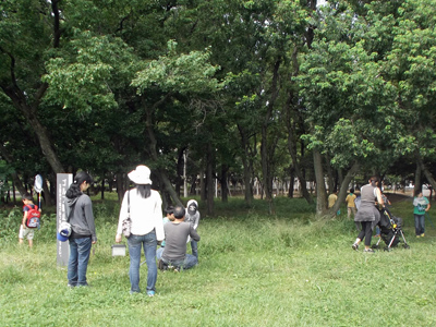 レッツ久宝探検隊【秋の昆虫観察会】9月27日