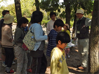 レッツ久宝探検隊「ドングリを食べてみよう」10月25日 レッツ久宝探検隊「ドングリを食べてみよう」10月25日