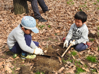 レッツ久宝探検隊「自然観察コーナー植樹」3月27日（日）