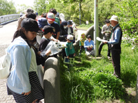 レッツ久宝探検隊「春の野草観察会」4月24日(日) レッツ久宝探検隊「春の野草観察会」4月24日(日)