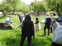 レッツ久宝探検隊「春の野草観察会」4月24日(日) レッツ久宝探検隊「春の野草観察会」4月24日(日)