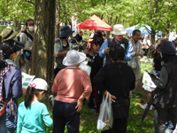 レッツ久宝探検隊「春の野草観察会」4月24日(日) レッツ久宝探検隊「春の野草観察会」4月24日(日)