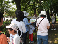 レッツ久宝探検隊「樹木観察会」5月22日(日) レッツ久宝探検隊「樹木観察会」5月22日(日)