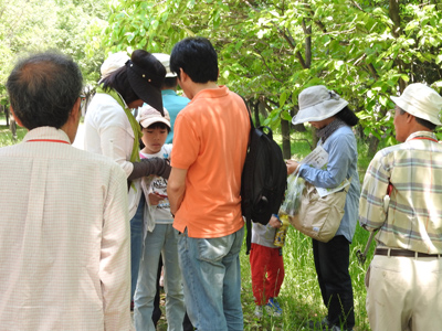 レッツ久宝探検隊「樹木観察会」5月22日（日）