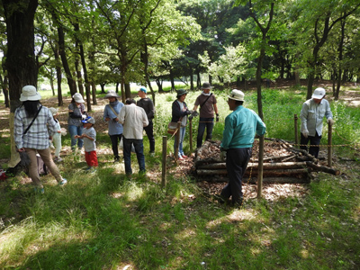 レッツ久宝探検隊自然観察ゾーン再生プロジェクト 5月22日（日）