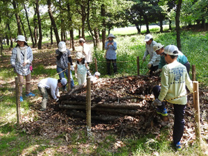 レッツ久宝探検隊自然観察ゾーン再生プロジェクト 2016年5月22日（日）